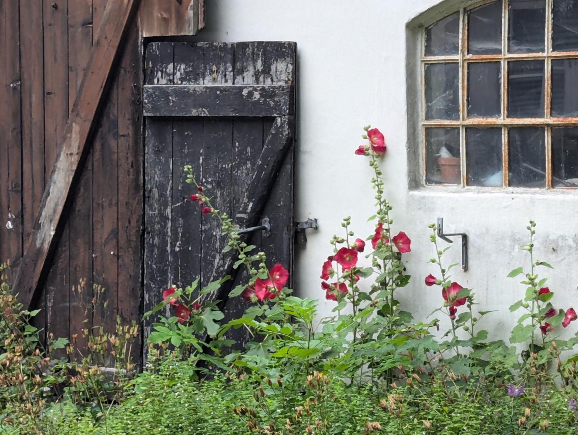 Lejlighed Ved Skov Græsted Exterior foto
